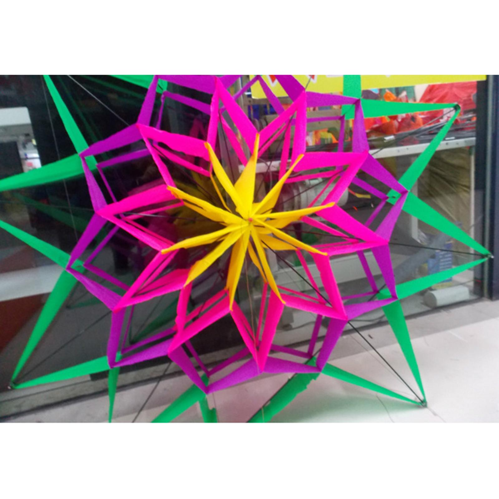 Outdoor Camping Games For Kids - Grand cerf-volant 3D Prune, longue durée