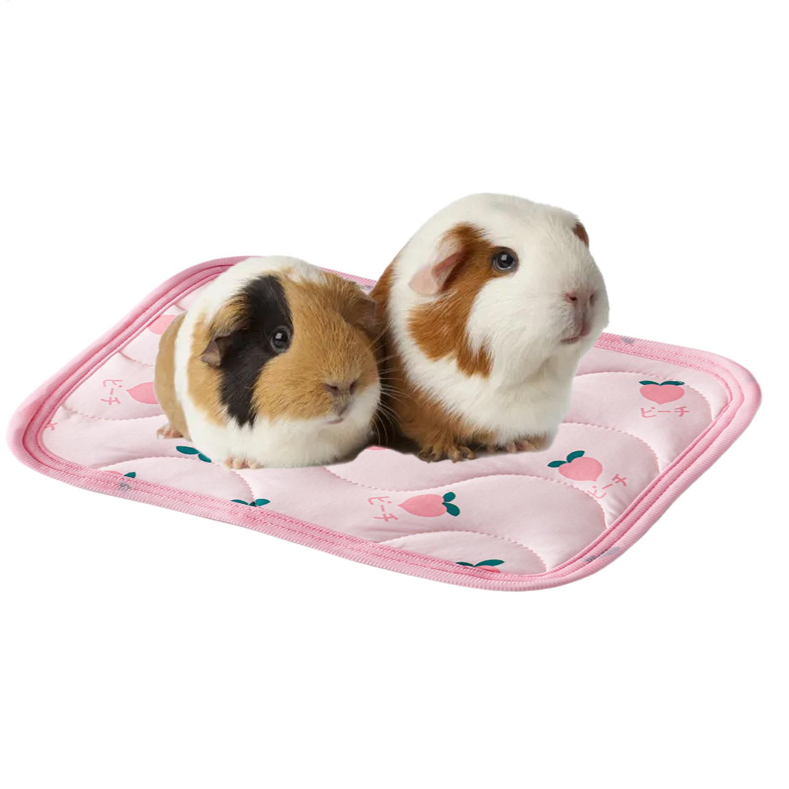 Tapis rafraîchissant pour anim - Outdoor Camping Dog Bed avis et prix