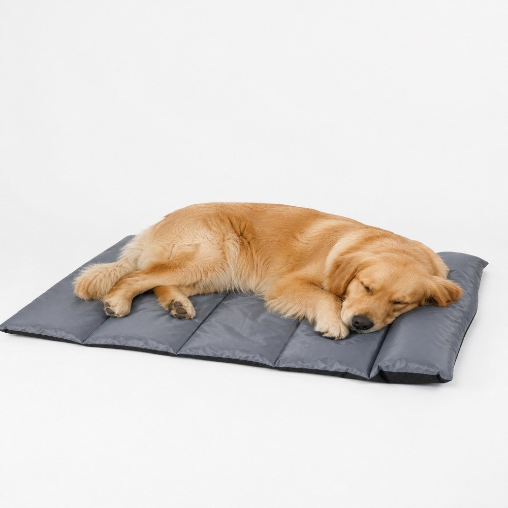 Tapis de couchage pliable pour - Outdoor Camping Dog Bed avis et prix
