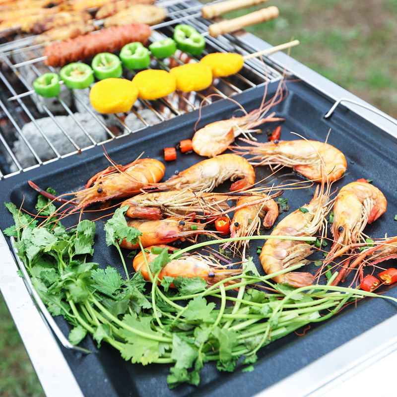 Nouveau gril en acier inoxydab - Outdoor Camping Griddle avis et prix