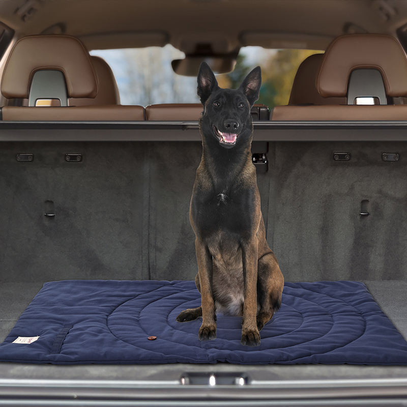 Polymères portables pliables p - Outdoor Camping Dog Bed avis et prix