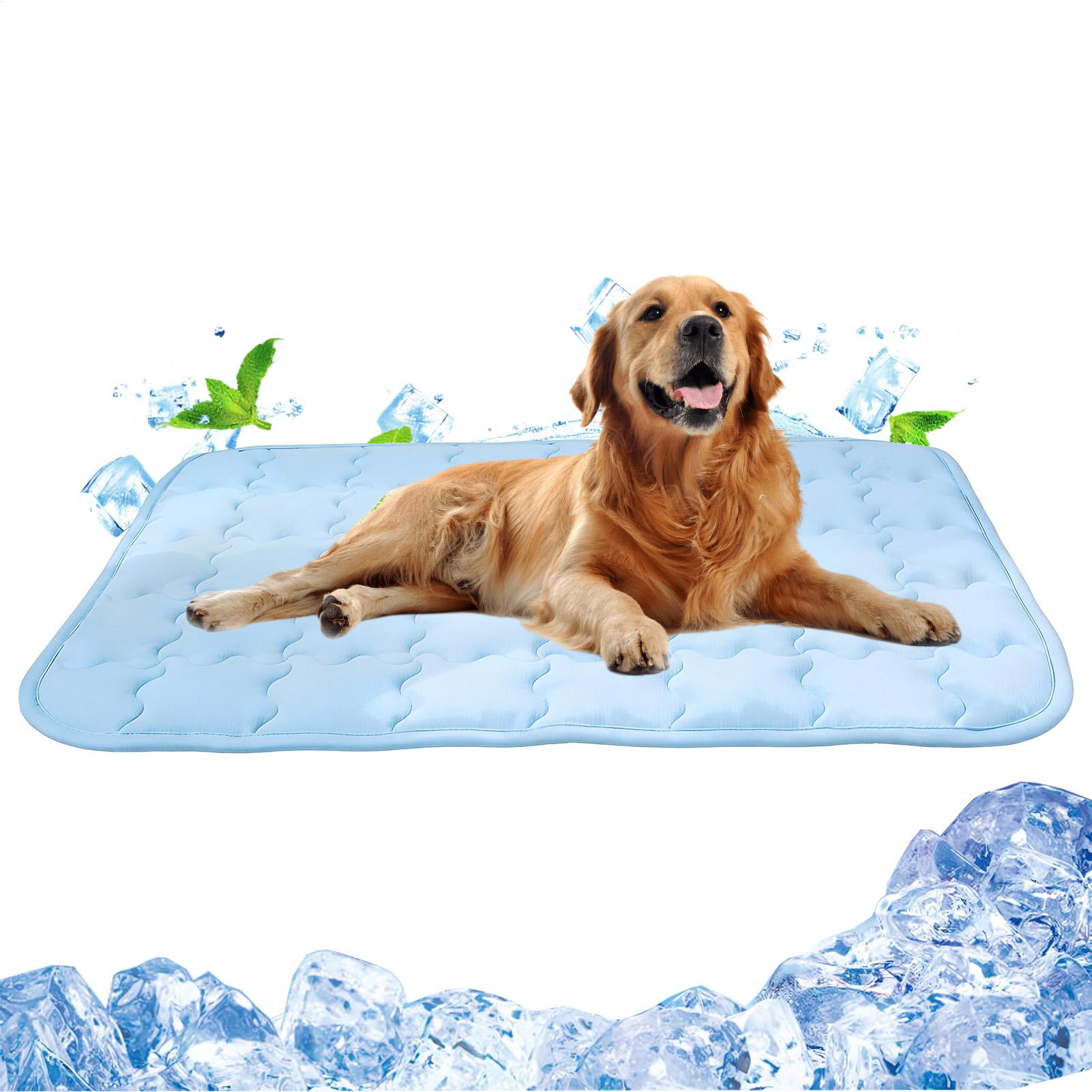 Coussin rafraîchissant pour ch - Outdoor Camping Dog Bed avis et prix